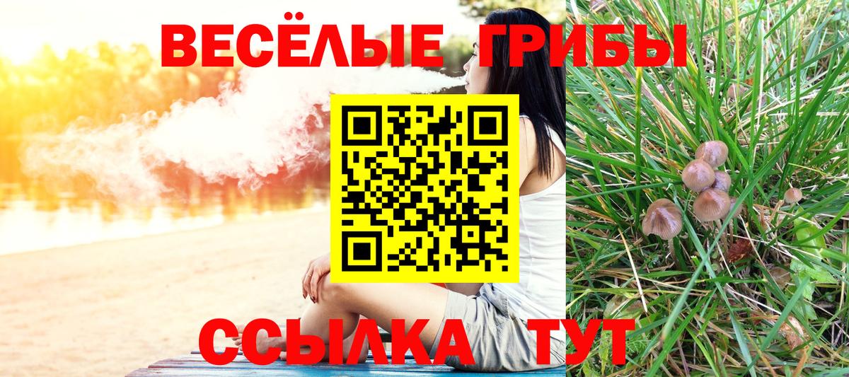Псилоцибиновые грибы GOLDEN TEACHER Отрадное